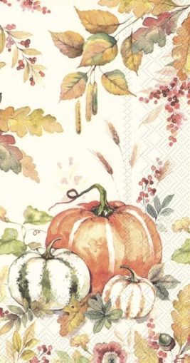 Салфетки PUMPKIN LOVE cream 42х33cm. 