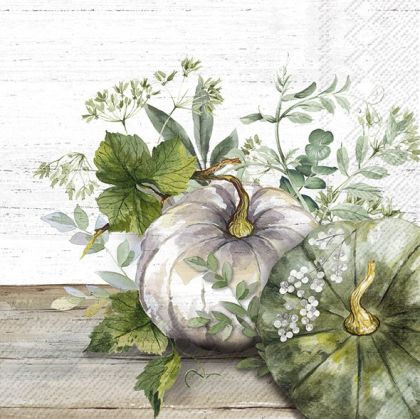 Салфетки GREEN AND WHITE PUMPKIN 30х30cm. 20броя.