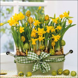 Салфетки нарциси Daffodils 20 броя